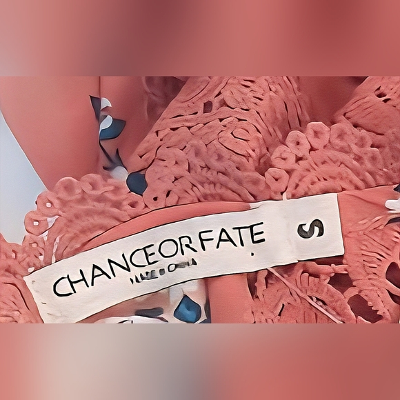 NWOT Chance Or Fate Burnt Orange Floral Lace Relaxed Fit Blouse S - Picture 6 of 7